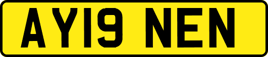 AY19NEN