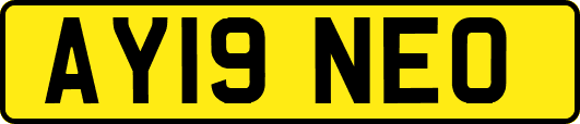 AY19NEO