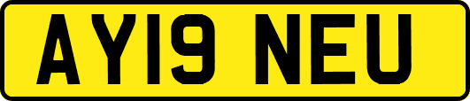 AY19NEU