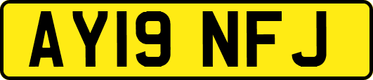 AY19NFJ