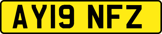 AY19NFZ