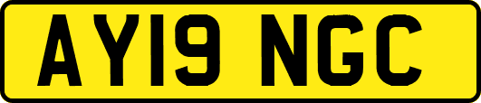 AY19NGC