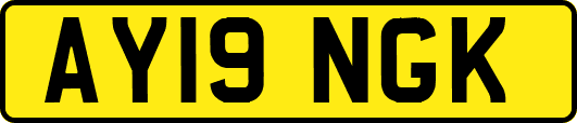 AY19NGK