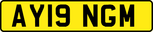 AY19NGM