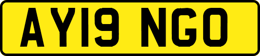 AY19NGO