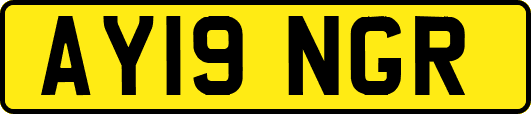 AY19NGR