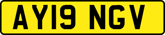 AY19NGV
