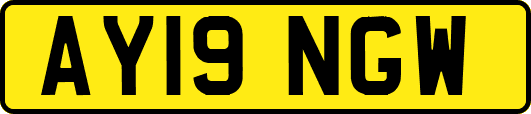 AY19NGW