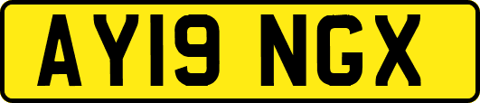 AY19NGX