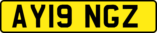 AY19NGZ