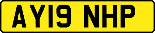 AY19NHP