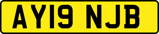 AY19NJB