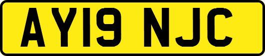AY19NJC