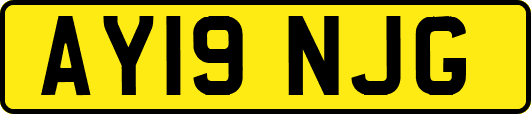 AY19NJG