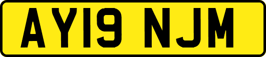 AY19NJM