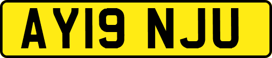 AY19NJU