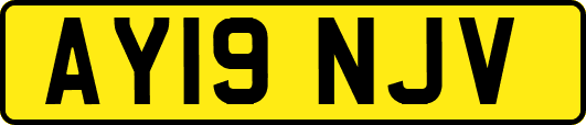 AY19NJV