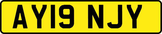AY19NJY