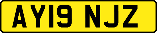 AY19NJZ