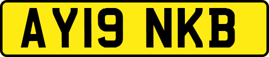 AY19NKB
