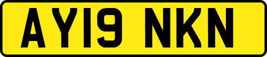 AY19NKN