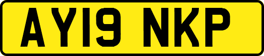 AY19NKP
