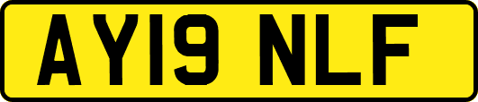 AY19NLF