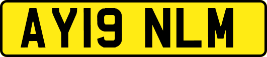 AY19NLM
