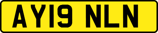 AY19NLN