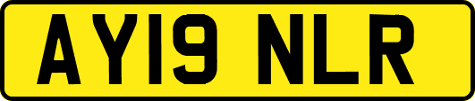 AY19NLR