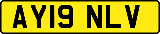 AY19NLV