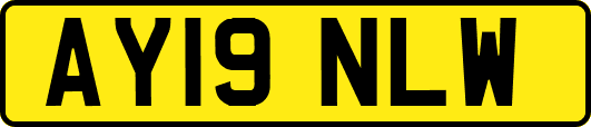 AY19NLW