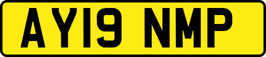 AY19NMP