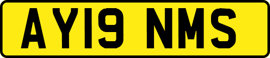 AY19NMS