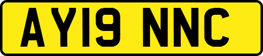 AY19NNC
