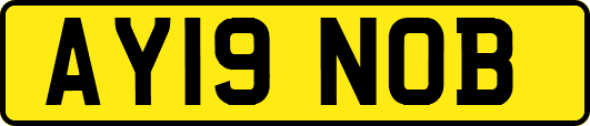 AY19NOB