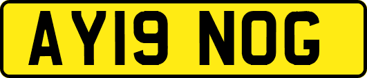 AY19NOG