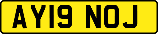 AY19NOJ