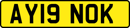 AY19NOK