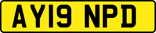 AY19NPD