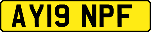 AY19NPF