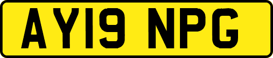 AY19NPG