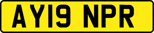AY19NPR