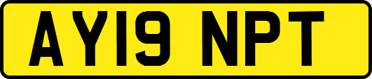 AY19NPT