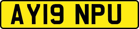 AY19NPU