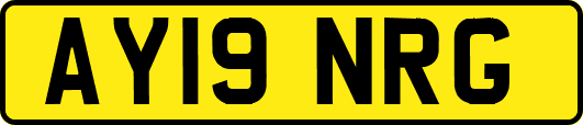 AY19NRG