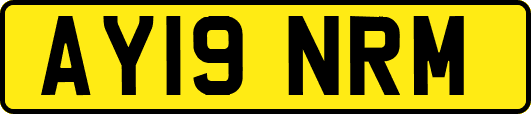 AY19NRM