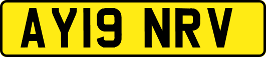 AY19NRV