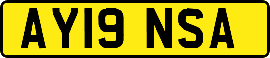 AY19NSA