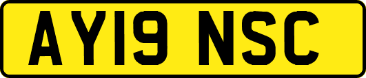 AY19NSC